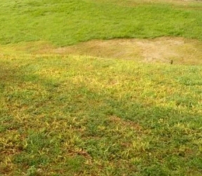 2200sqm Land For Joint Venture  2,200 Meter Square of Land for Rent Lekki Lagos Vetra  Property