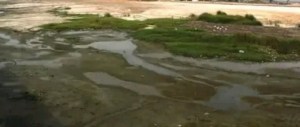 5 Hectares(50,000sqm) Reclaimed Land For Jv Development/sale Off Freedom Way, Lekki Phase 1 5 Hectare of Land for Sale Lekki Lagos Vetra  Property