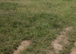 Half Plot Of Land For Long Lease At Aguda, Surulere @ N1million/annum 1 Plot of Land for Rent Surulere Lagos Vetra  Property