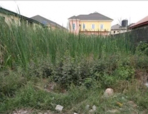 754sqm Land For Joint Venture Development At Ikota Gra, Lekki 754 Meter Square of Land for Rent Lekki Lagos Vetra  Property