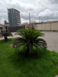 Image 1 Title
