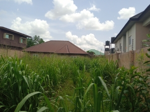 Fenced And Gated Parcel Of Land Measuring Approximately 550sqm With A Modern Boys Quarters 550 Meter Square of Land for Sale Ibadan Oyo Vetra  Property