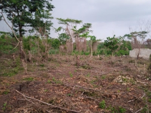 Land Measuring About 1000sqm (2plots) At Ologuneru Ibadan 1,000 Meter Square of Land for Sale Ibadan Oyo Vetra  Property