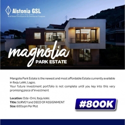 Dry Land For Sale At Ibeju Lekki  Land for Sale Ibeju Lekki Lagos Vetra  Property
