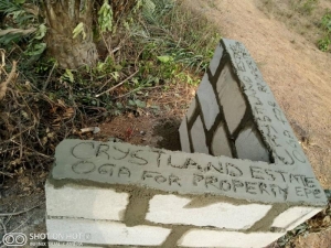 Image 1 Title