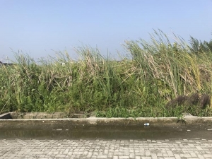 Image 1 Title