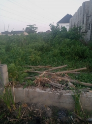 Land For Sale In Unity Homes Thomas Estate Ajah 1 Plot of Land for Sale Ajah Lagos Vetra  Property