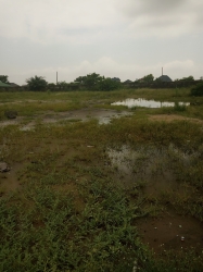 Commercial Land For Rent Facing Express At Ajah Lekki Phase 1 9 Plots of Land for Rent Ajah Lagos Vetra  Property