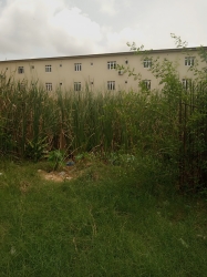 Land For Joint Venture In Lekki Phase 1 Land for Sale Lekki Lagos Vetra  Property