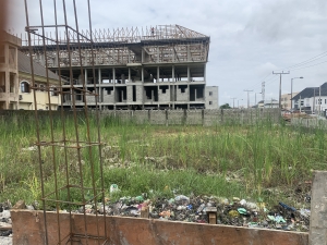 Image 1 Title