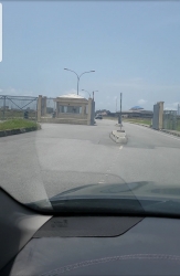 Image 1 Title
