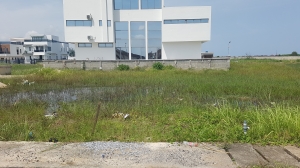 Image 1 Title