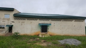 Image 1 Title