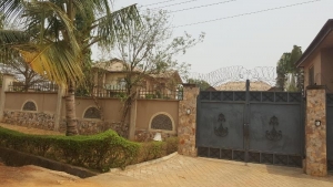 Image 1 Title