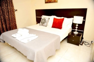 Luxury 1 Bedroom Apartment Mini Flat for Short let Lekki Lagos Vetra  Property