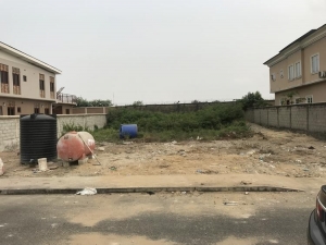 Image 1 Title