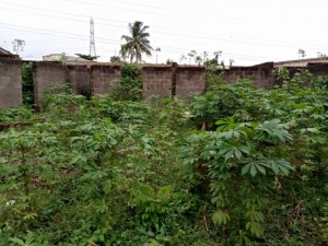 Gated Fenced One And Half Plot Of Land For Sale 2 Plots of Land for Sale Ifo Ogun Vetra  Property