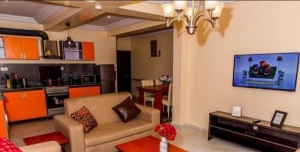 Luxury Tastefully Finished And Furnished Two (2) Bedroom Flat 2 bedroom Flat for Short let Garki 2 Abuja Vetra  Property