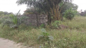 Image 1 Title
