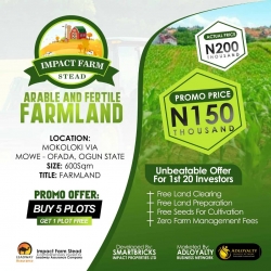 Impact Farm Stead 600 Meter Square of Land for Sale Arepo Ogun Vetra  Property