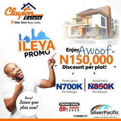Clayton Estate In A Well Developed Estate Area Free Trade Zone, Ibeju Lekki Land for Sale Ibeju Lekki Lagos Vetra  Property