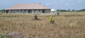 Image 1 Title