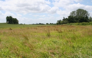 Lagos State C.of.o Of 97 Years Unexpired Lease Going For 100m 512 Meter Square of Land for Sale Lekki Lagos Vetra  Property