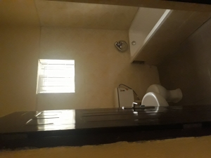 Image 1 Title