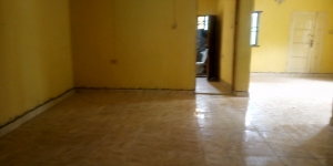 Image 1 Title