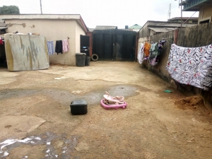 Image 1 Title