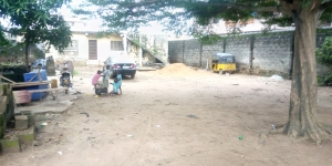 Image 1 Title