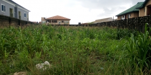 Full Plot If Land 1 Plot of Land for Sale Ejigbo Lagos Vetra  Property