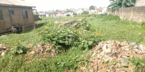 Image 1 Title