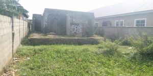 Image 1 Title