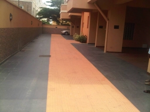 Image 1 Title