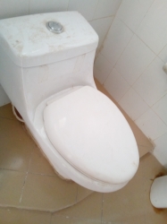 Image 1 Title