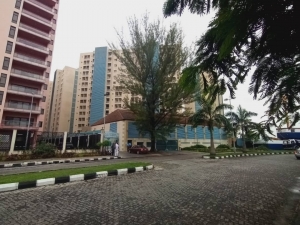 Image 1 Title