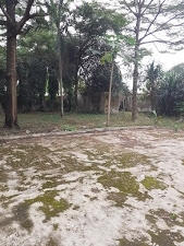 Image 1 Title