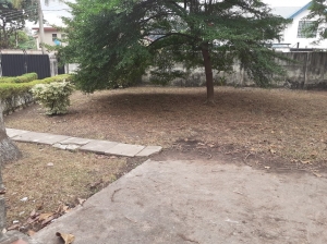 Image 1 Title