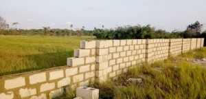 Image 1 Title