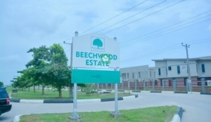 Image 1 Title