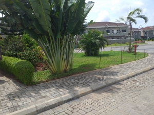 Image 1 Title