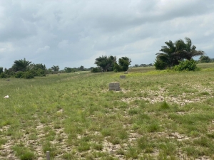 Image 1 Title