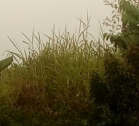 50 Plots Of Land For Sale 50 Plots of Land for Sale Oredo Edo Vetra  Property