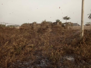 100 By 200 Land For Sale At Airport Road Benin City Land for Sale Oredo Edo Vetra  Property
