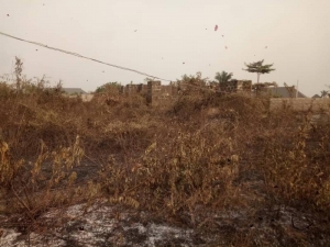 Image 1 Title