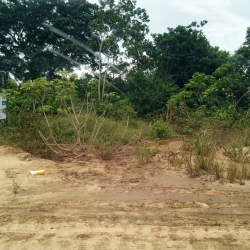 Image 1 Title