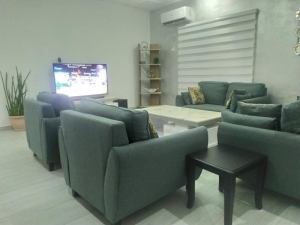 Spacious And Luxury And Fully Serviced And Furnished 3 Bedroom Flat With Gym 3 bedroom Flat for Short let Victoria Island Lagos Vetra  Property