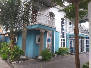 Image 1 Title