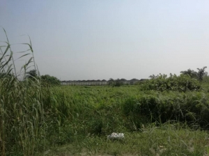 3 Plots Of Land  3 Plots of Land for Sale Lekki Lagos Vetra  Property